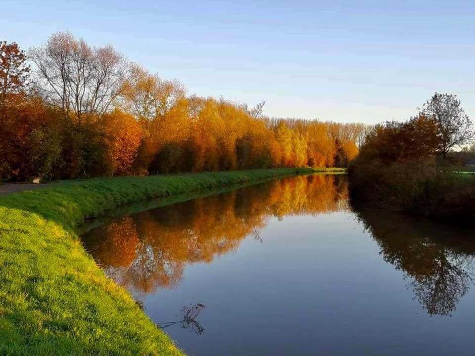'T Hof Van Cremers Grammont Extérieur photo